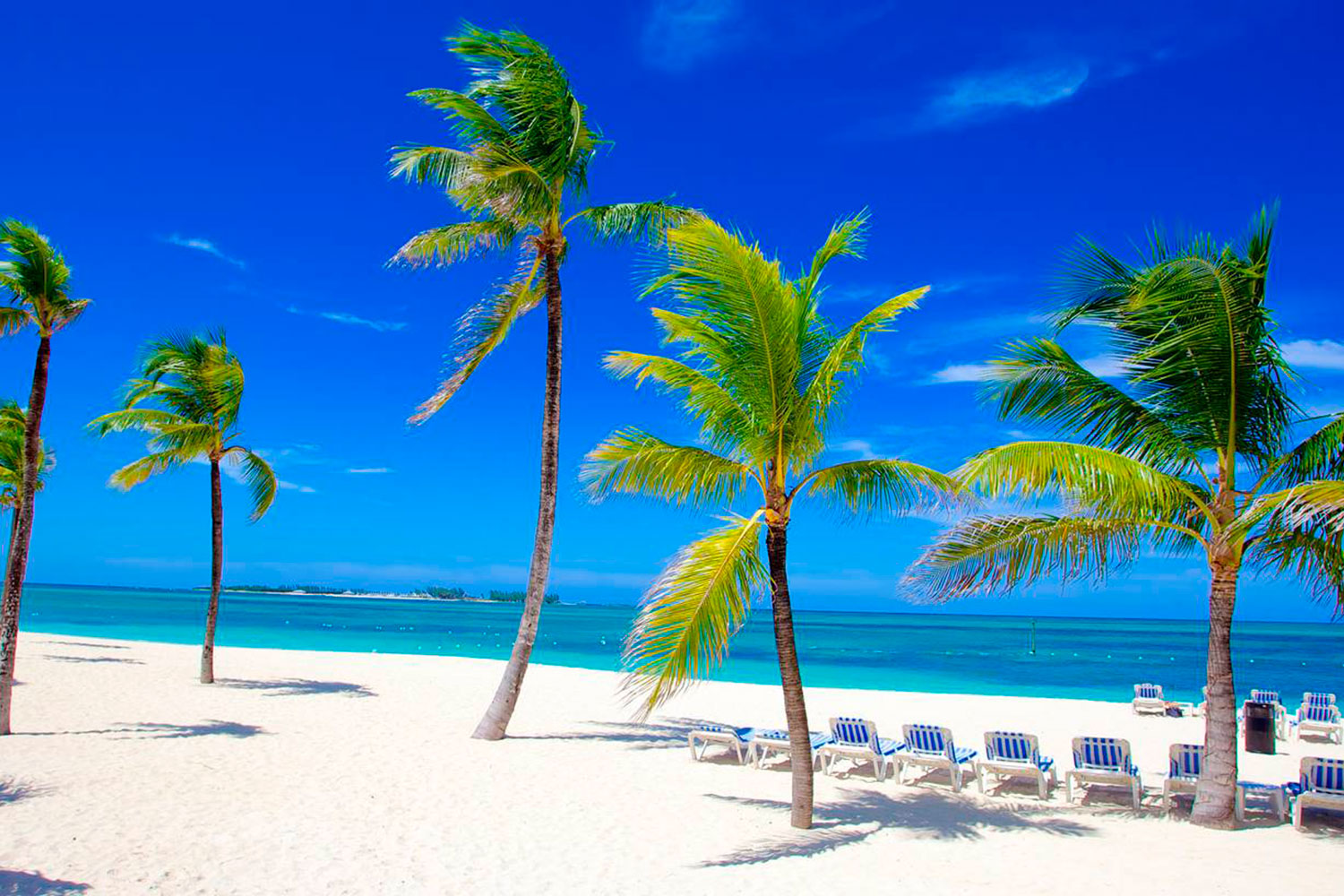 Best of Miami: City Tours, Ocean Adventures & Nature – 2 Days