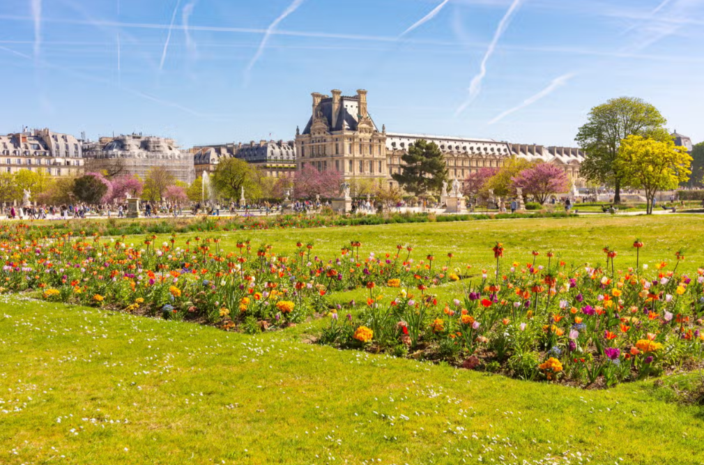 Free Guided Walking Tour of Paris